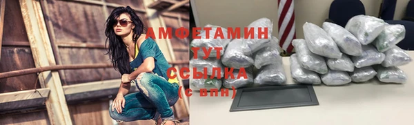 молекула духа Краснослободск