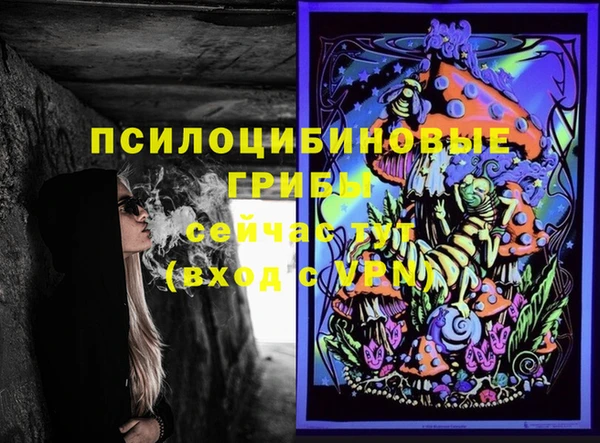 стаф Красноперекопск