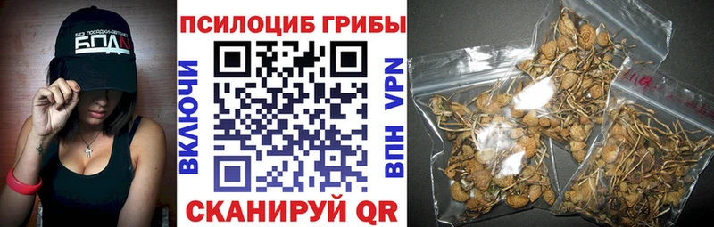 Галлюциногенные грибы Psilocybe  Фокино 
